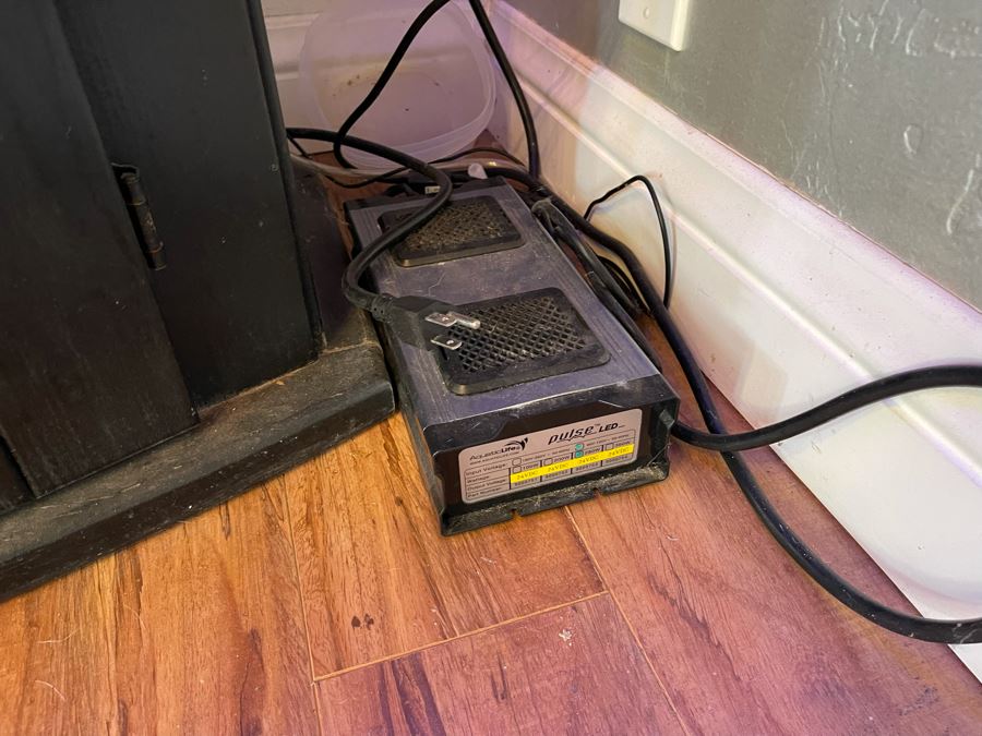 Large Salt Water Aquarium With Fish, Live Coral And Supplies 'NOTE: Pick Up From Carlsbad Home By Apt / May Need To Hire Special Delivery Co' 48W X 17D X 56H [Photo 24]