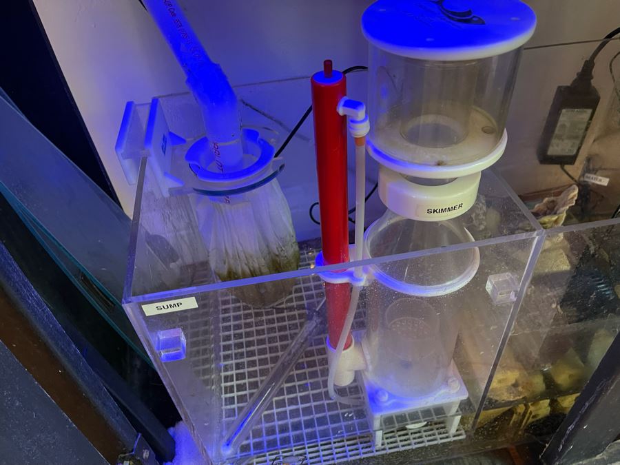 Large Salt Water Aquarium With Fish, Live Coral And Supplies 'NOTE: Pick Up From Carlsbad Home By Apt / May Need To Hire Special Delivery Co' 48W X 17D X 56H [Photo 22]