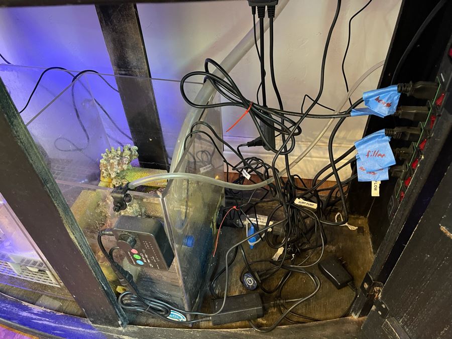 Large Salt Water Aquarium With Fish, Live Coral And Supplies 'NOTE: Pick Up From Carlsbad Home By Apt / May Need To Hire Special Delivery Co' 48W X 17D X 56H [Photo 20]