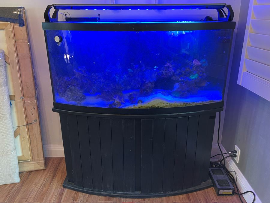 Large Salt Water Aquarium With Fish, Live Coral And Supplies 'NOTE: Pick Up From Carlsbad Home By Apt / May Need To Hire Special Delivery Co' 48W X 17D X 56H