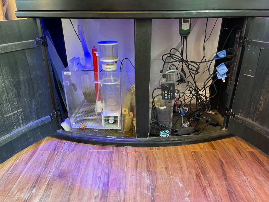 Large Salt Water Aquarium With Fish, Live Coral And Supplies 'NOTE: Pick Up From Carlsbad Home By Apt / May Need To Hire Special Delivery Co' 48W X 17D X 56H [Photo 18]