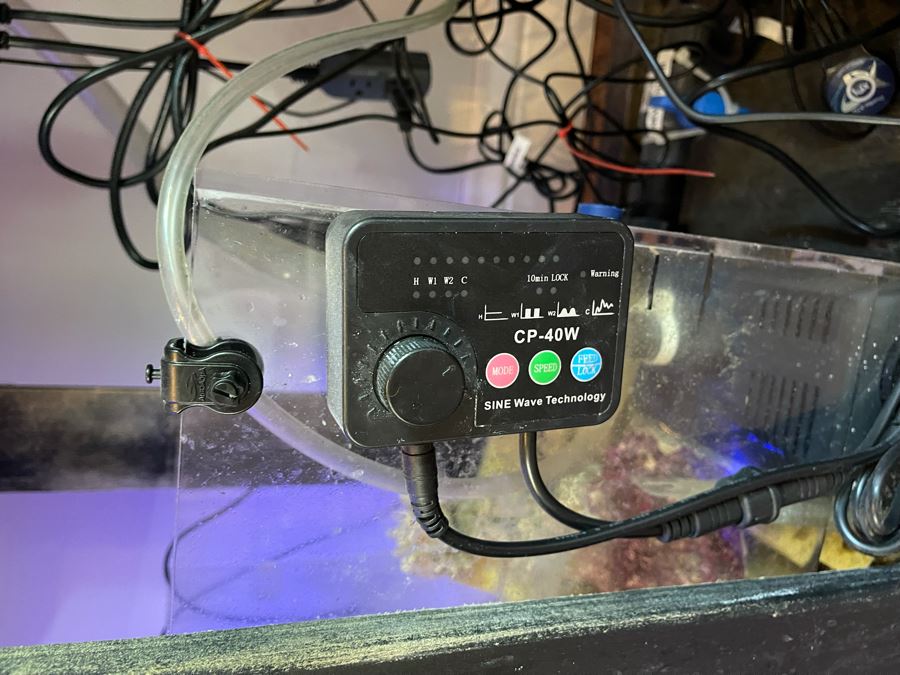 Large Salt Water Aquarium With Fish, Live Coral And Supplies 'NOTE: Pick Up From Carlsbad Home By Apt / May Need To Hire Special Delivery Co' 48W X 17D X 56H [Photo 21]