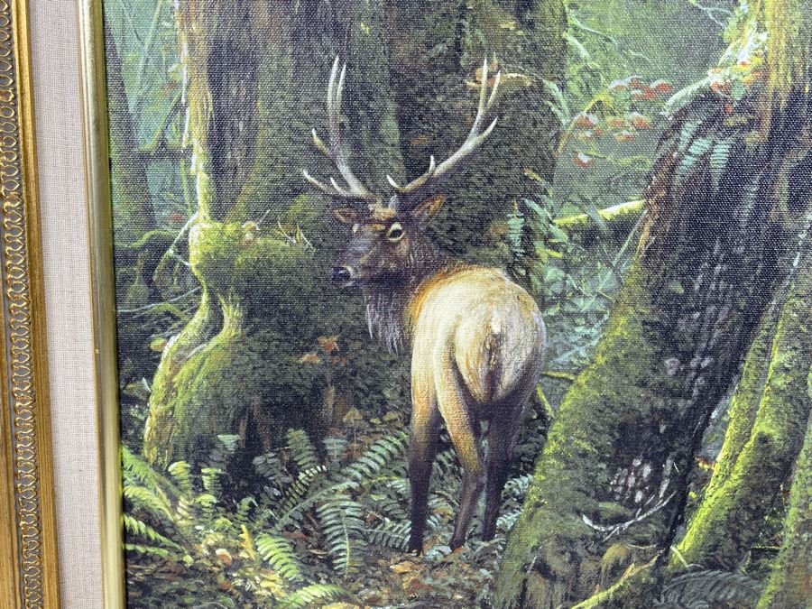 Original Lee Lauritzen Acrylic Painting Framed Titled “Roosevelt Elk” 18 X 14 [Photo 5]