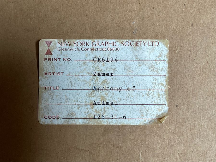 Yegel Zemer Vintage 1976 Hand Signed Print Titled 'Anatomy Of Animal' Framed 29.5 X 35.5 [Photo 15]