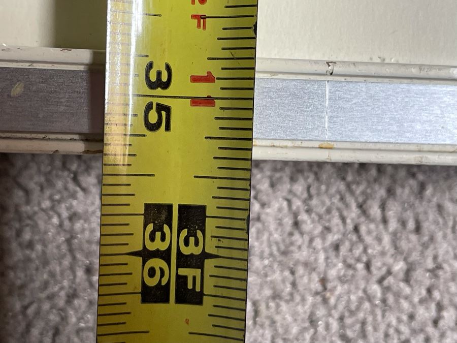 Yegel Zemer Vintage 1976 Hand Signed Print Titled 'Anatomy Of Animal' Framed 29.5 X 35.5 [Photo 13]