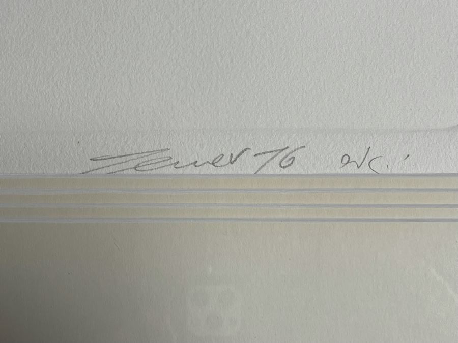 Yegel Zemer Vintage 1976 Hand Signed Print Titled 'Anatomy Of Animal' Framed 29.5 X 35.5 [Photo 10]