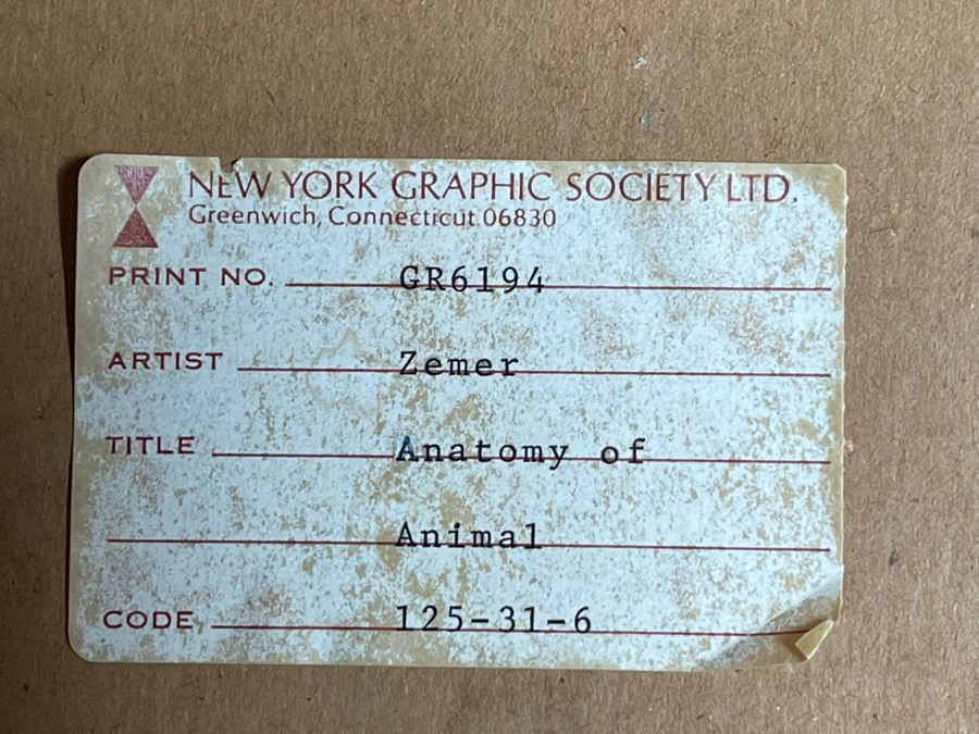 Yegel Zemer Vintage 1976 Hand Signed Print Titled 'Anatomy Of Animal' Framed 29.5 X 35.5 [Photo 14]
