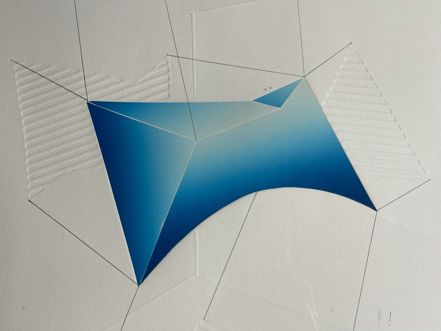 Yegel Zemer Vintage 1976 Hand Signed Print Titled 'Anatomy Of Animal' Framed 29.5 X 35.5 [Photo 8]