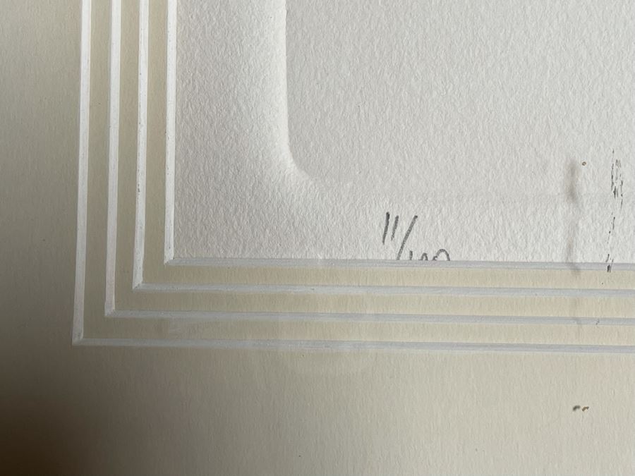 Yegel Zemer Vintage 1976 Hand Signed Print Titled 'Anatomy Of Animal' Framed 29.5 X 35.5 [Photo 11]