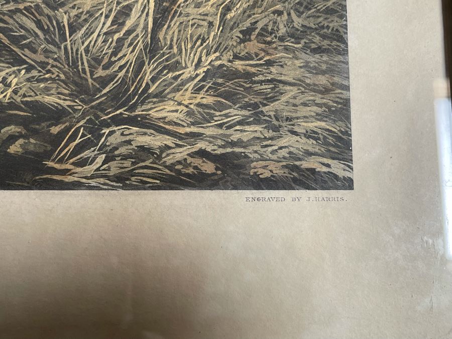 English Horse Engraving Titled Left At Home By J. Harris Painting By R. B. Davis Framed 36 X 30 [Photo 12]