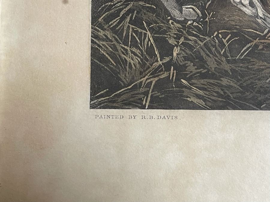 English Horse Engraving Titled Left At Home By J. Harris Painting By R. B. Davis Framed 36 X 30 [Photo 13]