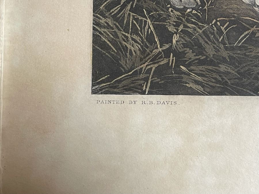 English Horse Engraving Titled Left At Home By J. Harris Painting By R. B. Davis Framed 36 X 30 [Photo 14]