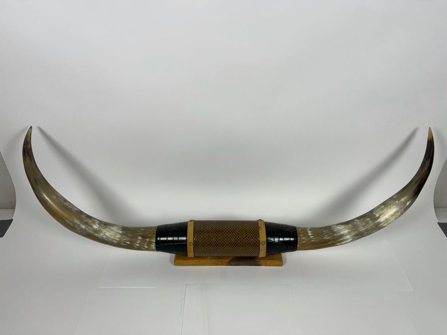 Vintage Steer Horns Western Decor 44W X 16D [Photo 3]