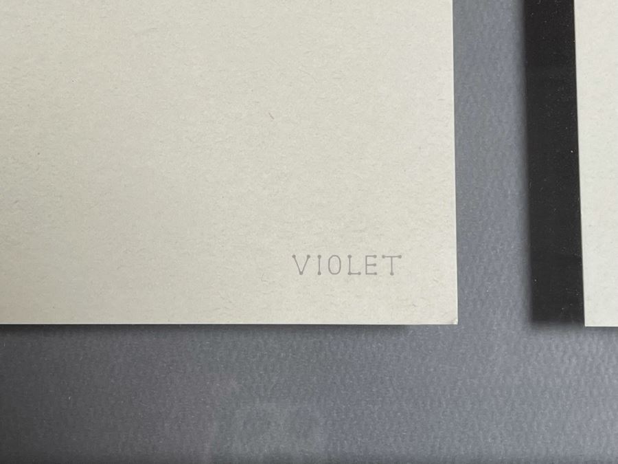 Framed Prints By Swedish Artists Studio Violet 40 X 15.5 [Photo 8]