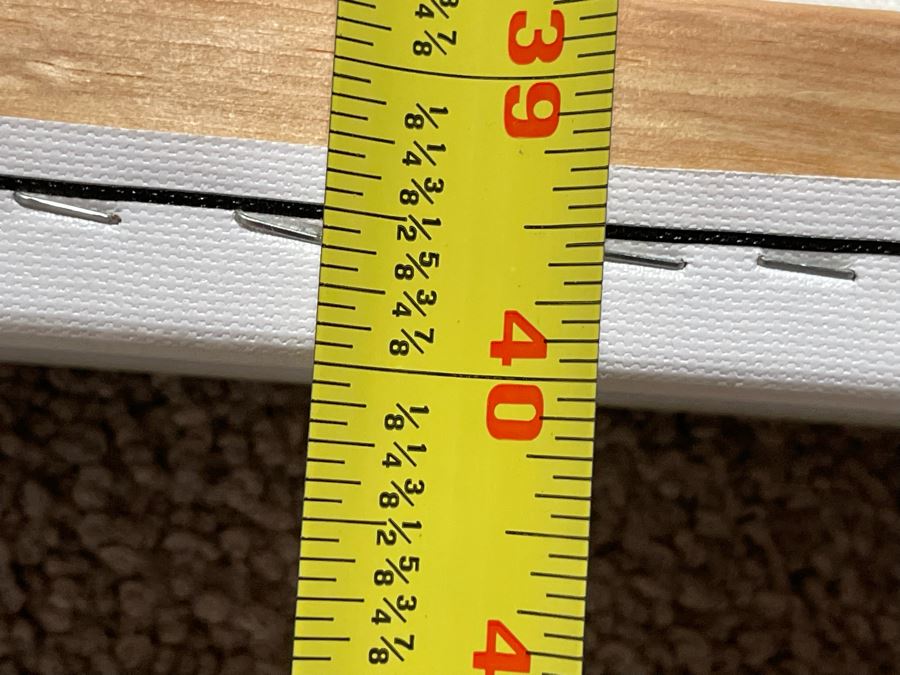 New Z Gallerie Canvas Print 40 X 50 Retails $399 [Photo 8]