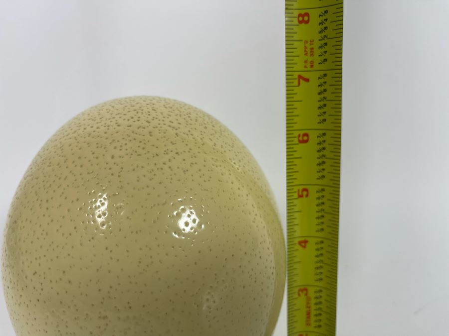Ostrich Egg With Marble Stand 6.5H [Photo 7]