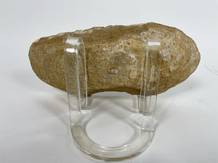Fish Fossil With Acrylic Stand 9.5W X 4.5H X 2D [Photo 7]
