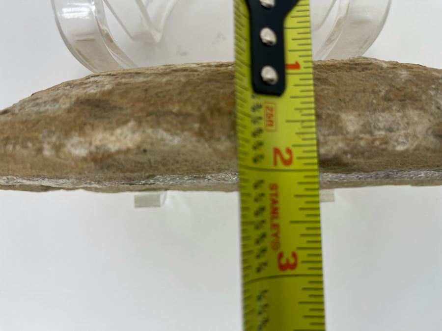 Fish Fossil With Acrylic Stand 9.5W X 4.5H X 2D [Photo 11]