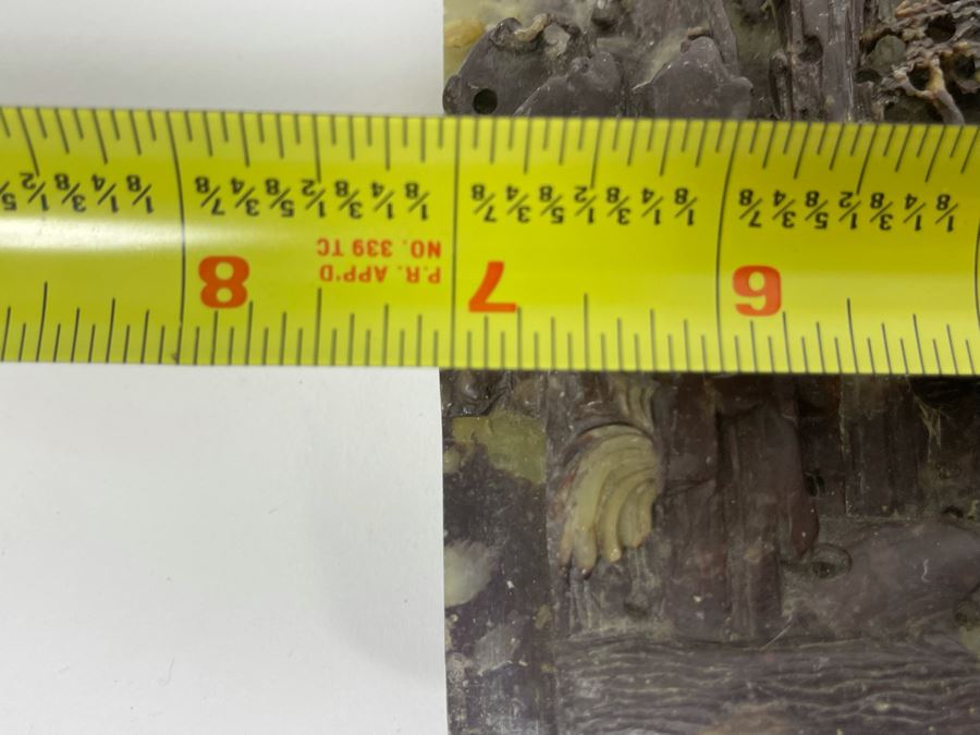 Chinese Relief Carved Soapstone Landscape Sculpture 7W X 8H X 1.5D [Photo 12]