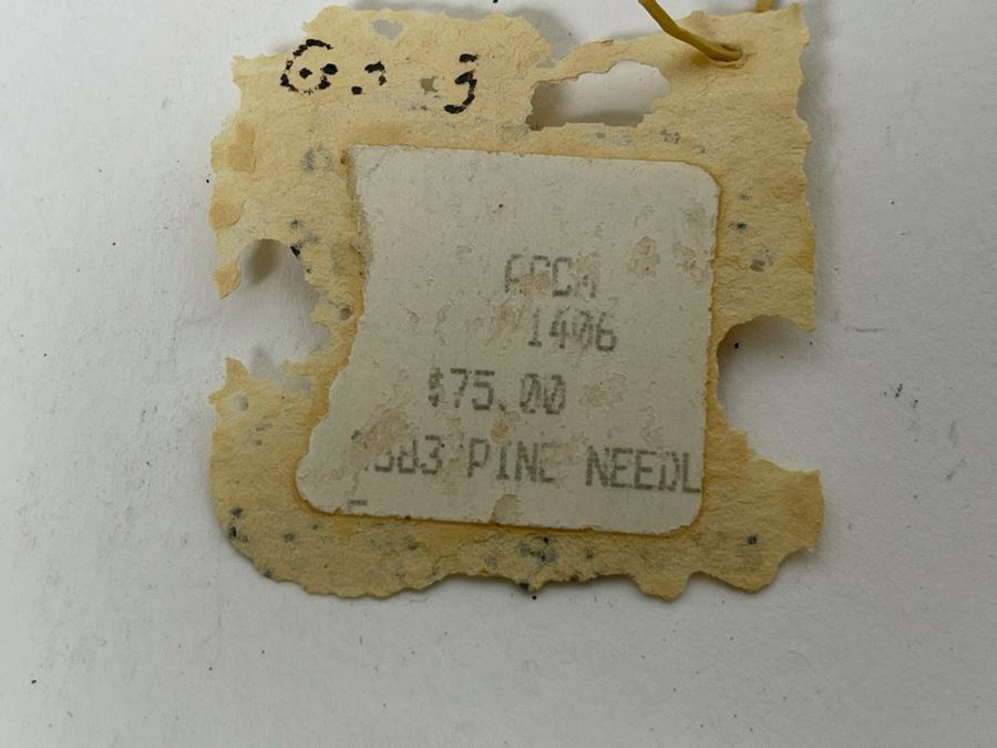 Handcrafted Gourd Pine Needle Basket By Mary Pryor 7W X 4H Retails $75 [Photo 13]