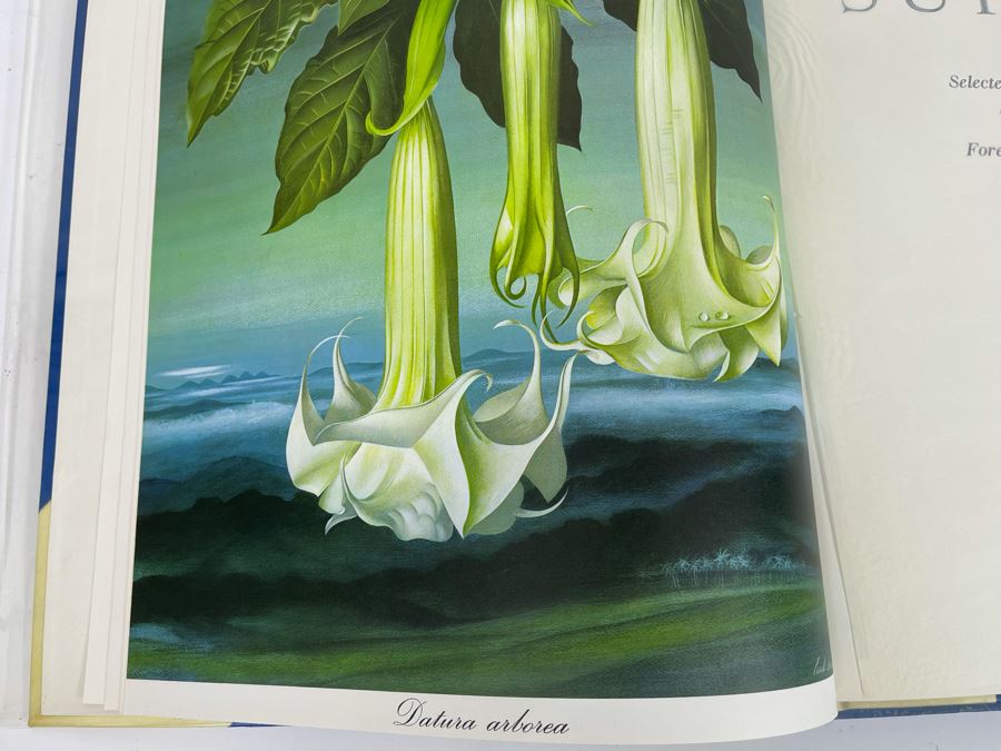 Signed Large Format Limited Edition Book Flora Superba By Artist Paul Jones Published By The Tryon Gallery Limited 1971 Estimate $750-$1,000 [Photo 8]
