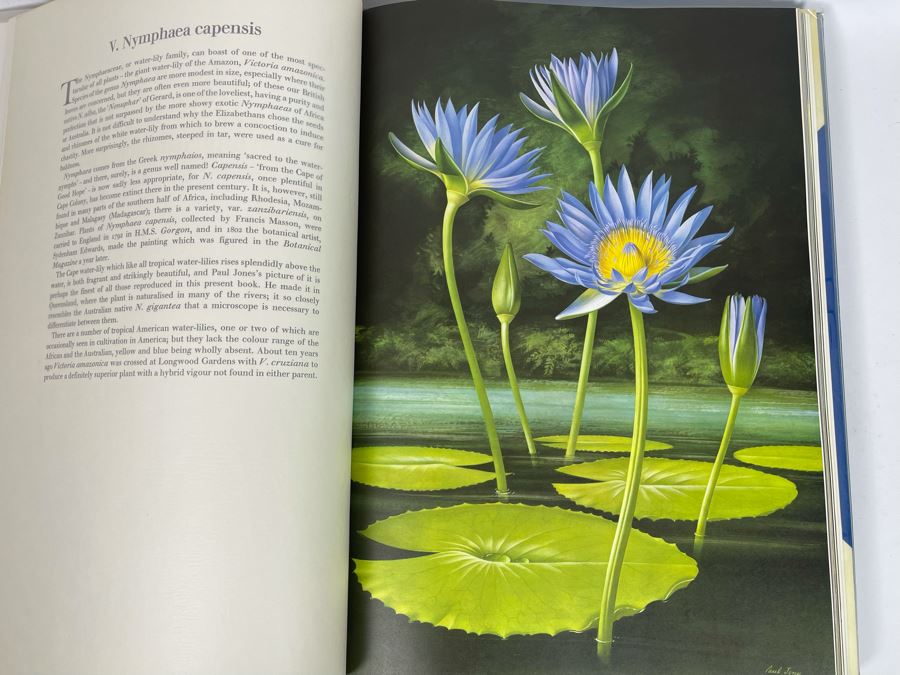 Signed Large Format Limited Edition Book Flora Superba By Artist Paul Jones Published By The Tryon Gallery Limited 1971 Estimate $750-$1,000 [Photo 20]