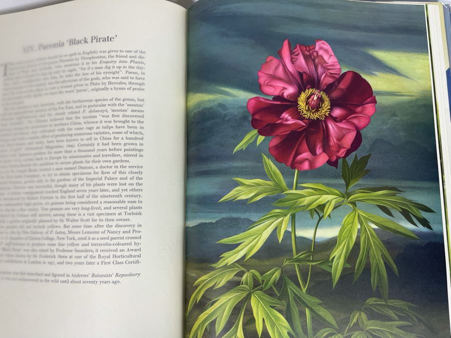 Signed Large Format Limited Edition Book Flora Superba By Artist Paul Jones Published By The Tryon Gallery Limited 1971 Estimate $750-$1,000 [Photo 27]