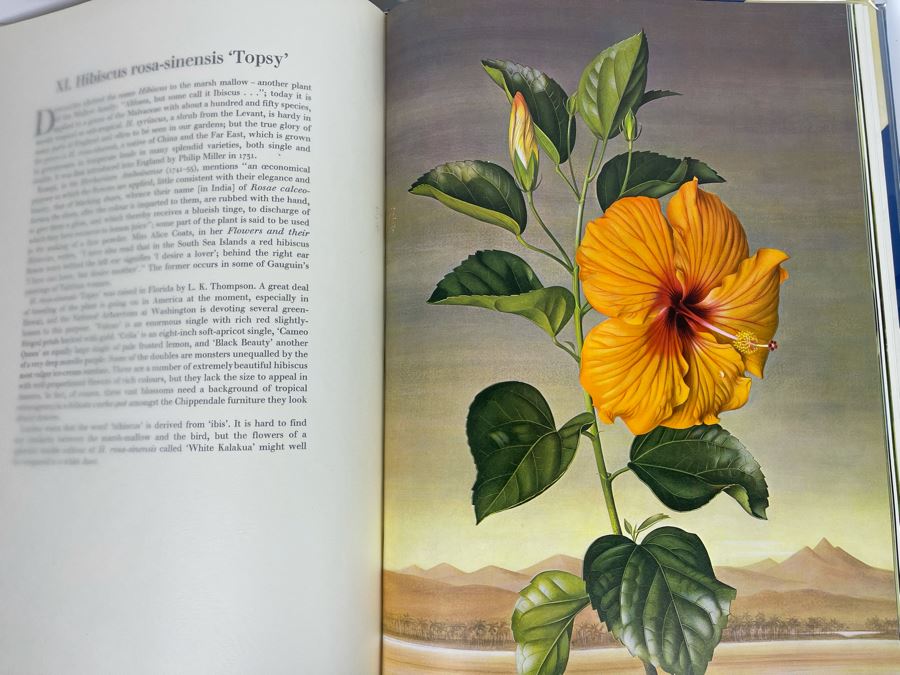 Signed Large Format Limited Edition Book Flora Superba By Artist Paul Jones Published By The Tryon Gallery Limited 1971 Estimate $750-$1,000 [Photo 26]