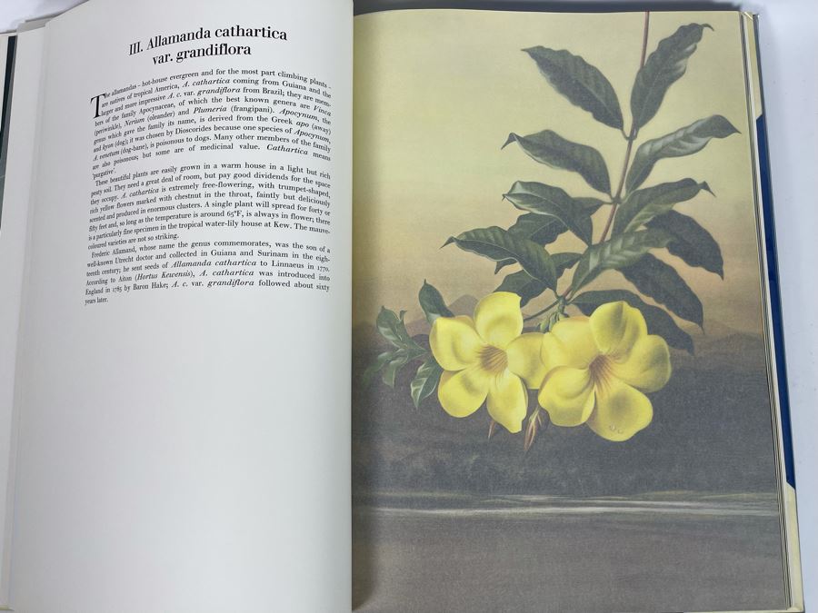 Signed Large Format Limited Edition Book Flora Superba By Artist Paul Jones Published By The Tryon Gallery Limited 1971 Estimate $750-$1,000 [Photo 16]