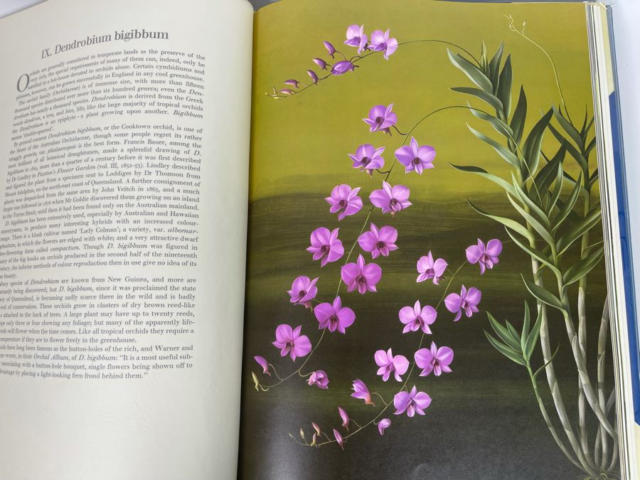 Signed Large Format Limited Edition Book Flora Superba By Artist Paul Jones Published By The Tryon Gallery Limited 1971 Estimate $750-$1,000 [Photo 24]