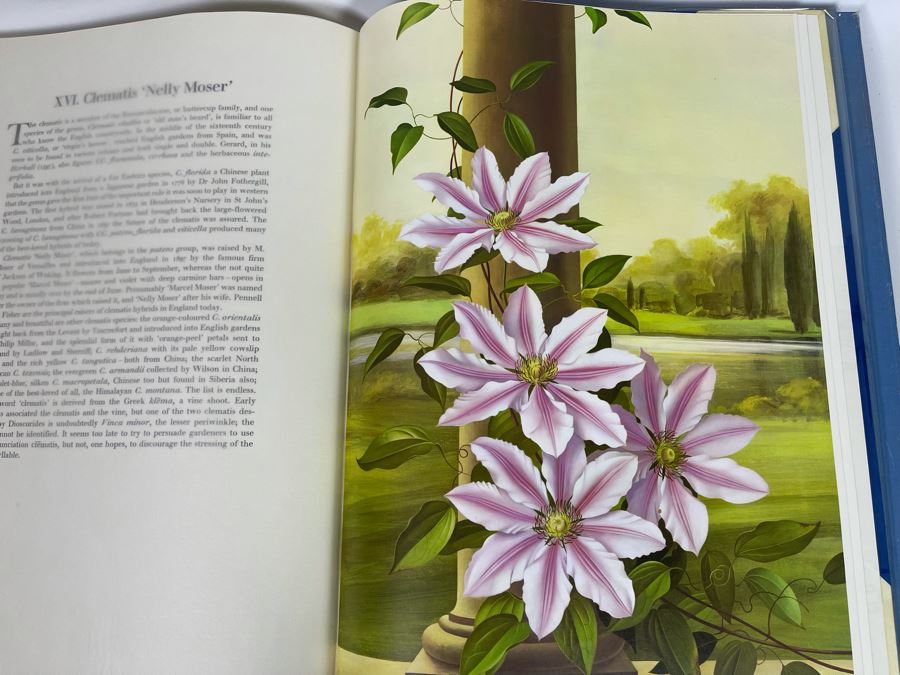Signed Large Format Limited Edition Book Flora Superba By Artist Paul Jones Published By The Tryon Gallery Limited 1971 Estimate $750-$1,000 [Photo 29]