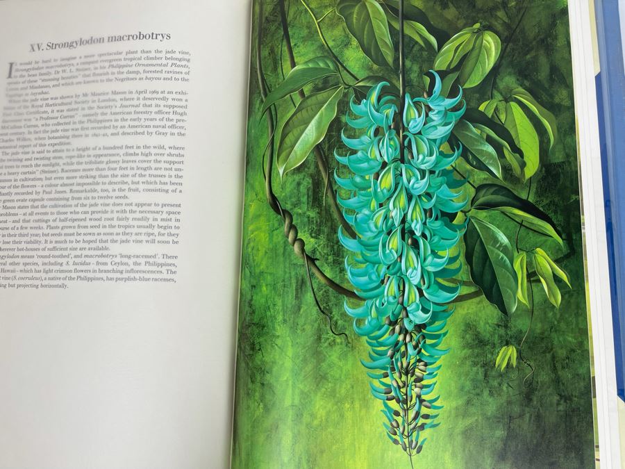 Signed Large Format Limited Edition Book Flora Superba By Artist Paul Jones Published By The Tryon Gallery Limited 1971 Estimate $750-$1,000 [Photo 28]