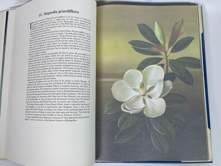 Signed Large Format Limited Edition Book Flora Superba By Artist Paul Jones Published By The Tryon Gallery Limited 1971 Estimate $750-$1,000 [Photo 17]