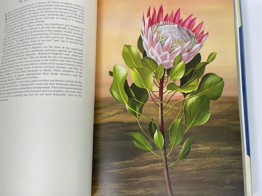 Signed Large Format Limited Edition Book Flora Superba By Artist Paul Jones Published By The Tryon Gallery Limited 1971 Estimate $750-$1,000 [Photo 21]