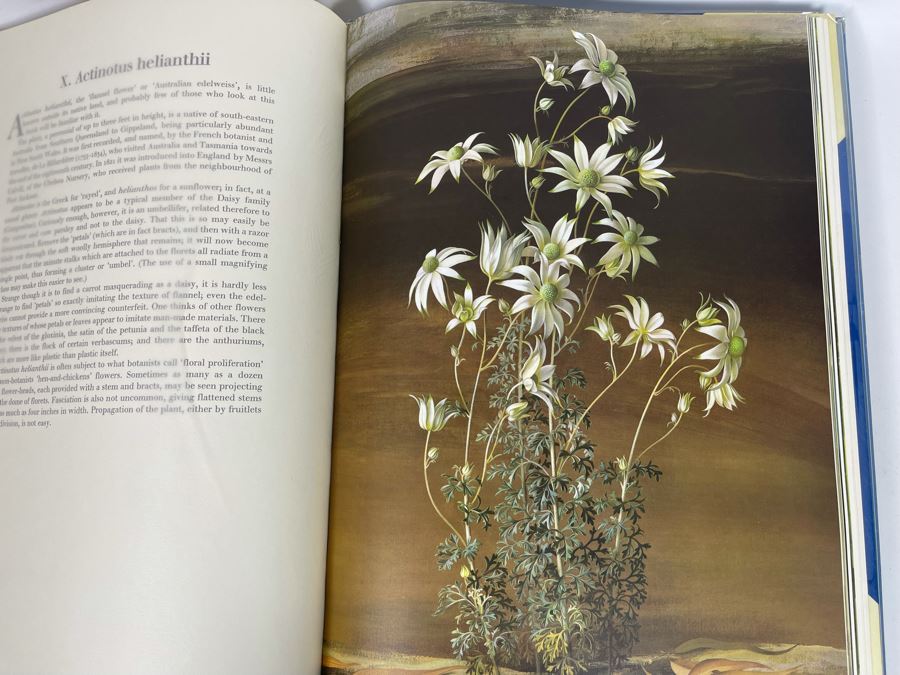 Signed Large Format Limited Edition Book Flora Superba By Artist Paul Jones Published By The Tryon Gallery Limited 1971 Estimate $750-$1,000 [Photo 25]