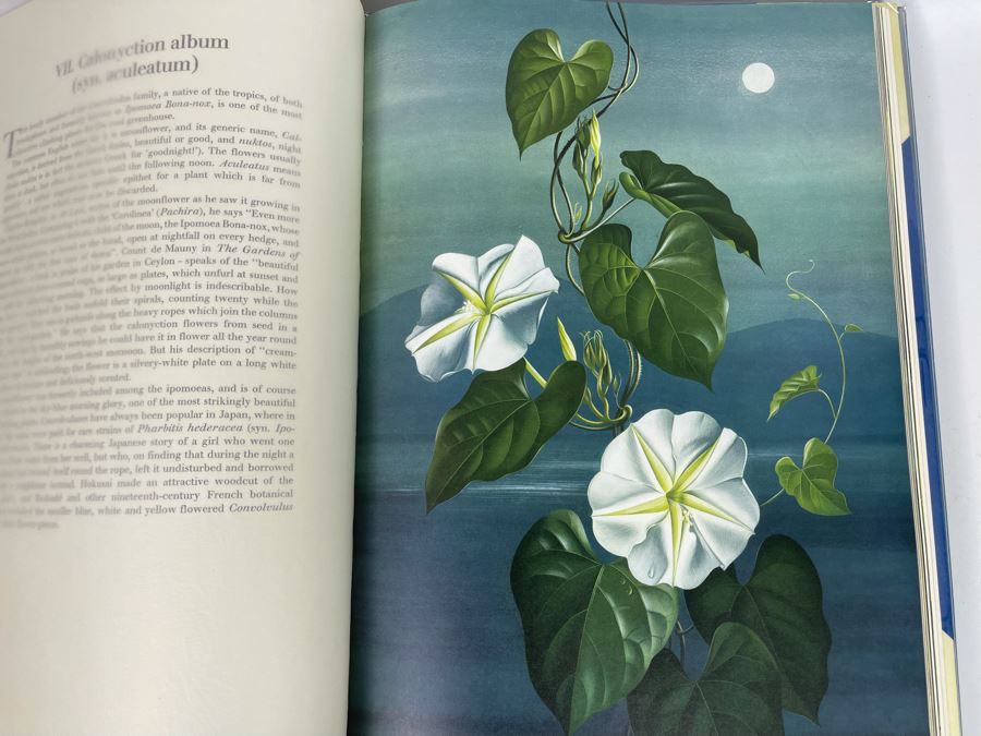 Signed Large Format Limited Edition Book Flora Superba By Artist Paul Jones Published By The Tryon Gallery Limited 1971 Estimate $750-$1,000 [Photo 22]