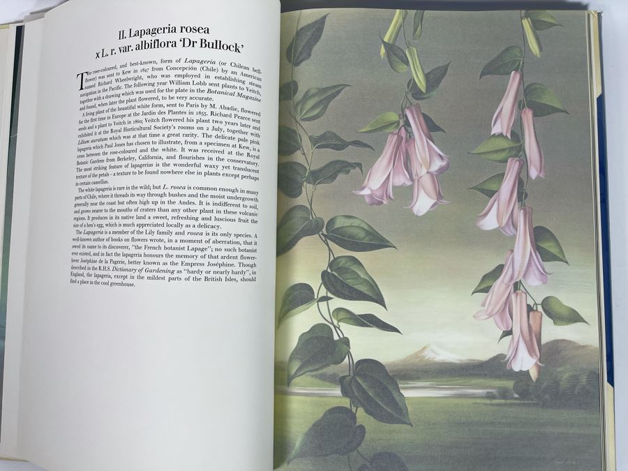 Signed Large Format Limited Edition Book Flora Superba By Artist Paul Jones Published By The Tryon Gallery Limited 1971 Estimate $750-$1,000 [Photo 15]