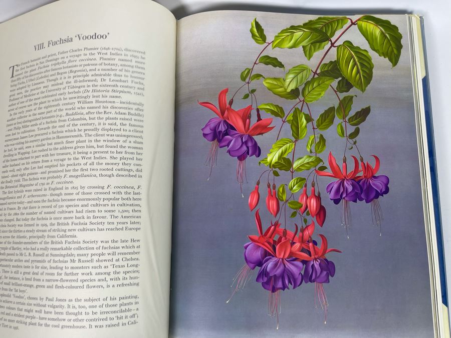 Signed Large Format Limited Edition Book Flora Superba By Artist Paul Jones Published By The Tryon Gallery Limited 1971 Estimate $750-$1,000 [Photo 23]