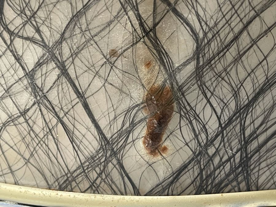 Mid-Century Modern Lampshade 19R X 6H [Photo 12]