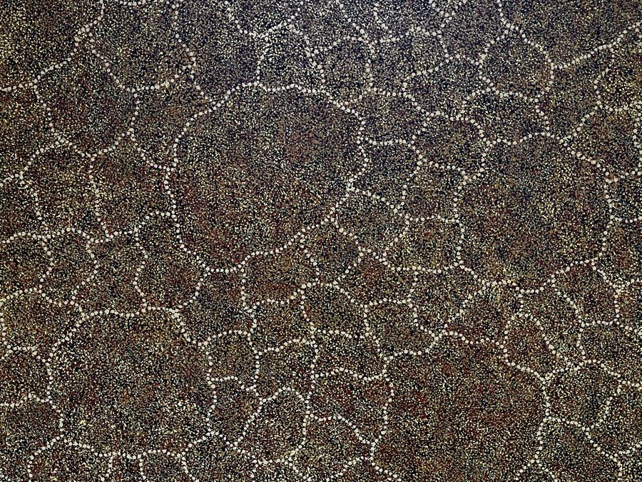 Large Original Aboriginal Wild Bush Leafs Painting On Canvas By Annie Nelson Napangardi Ti-Tree N.T. 78W X 40H Estimate $2,900 [Photo 5]