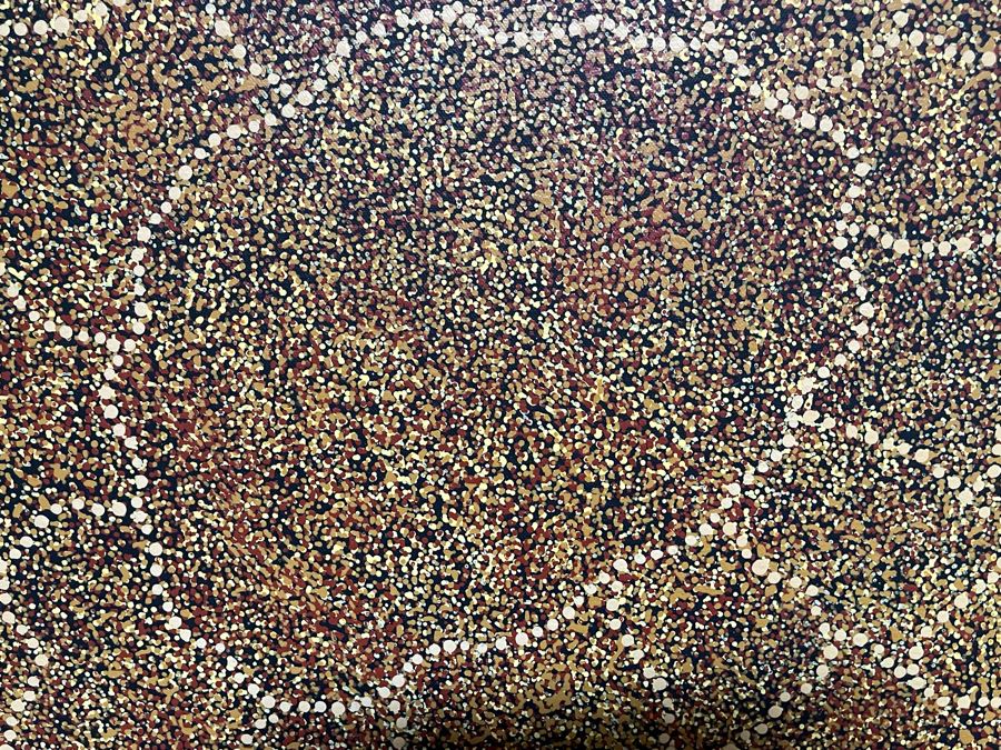 Large Original Aboriginal Wild Bush Leafs Painting On Canvas By Annie Nelson Napangardi Ti-Tree N.T. 78W X 40H Estimate $2,900 [Photo 6]