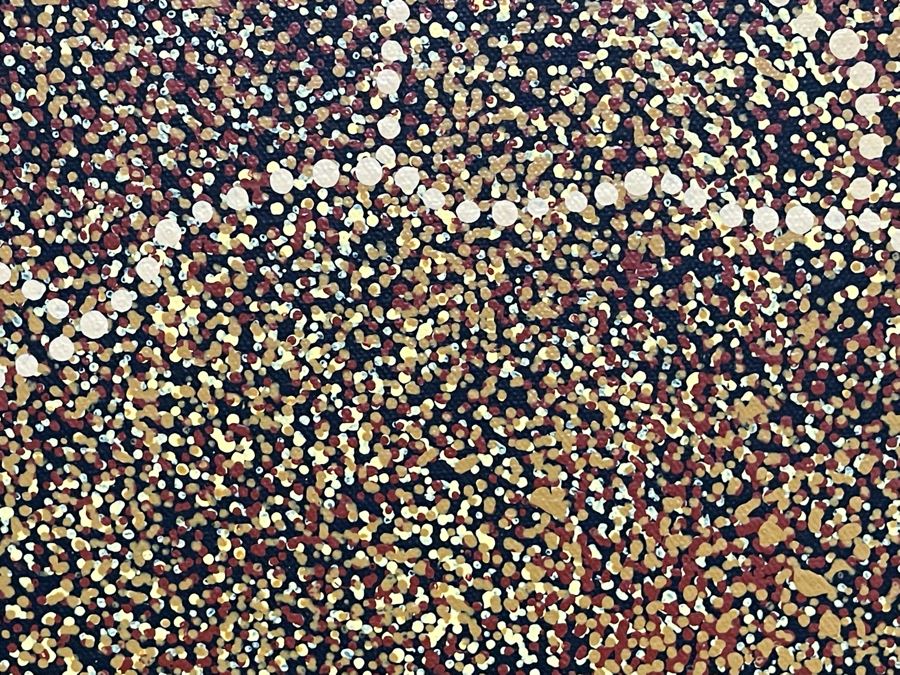 Large Original Aboriginal Wild Bush Leafs Painting On Canvas By Annie Nelson Napangardi Ti-Tree N.T. 78W X 40H Estimate $2,900 [Photo 7]