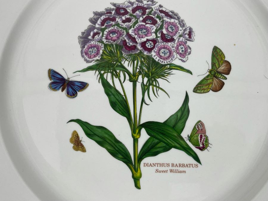 JUST ADDED - Set Of Six Portmeirion The Botanic Garden Charger Plates Susan Williams-Ellis 13.25R [Photo 5]