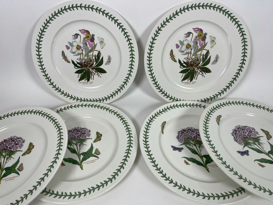 JUST ADDED - Set Of Six Portmeirion The Botanic Garden Charger Plates Susan Williams-Ellis 13.25R [Photo 11]