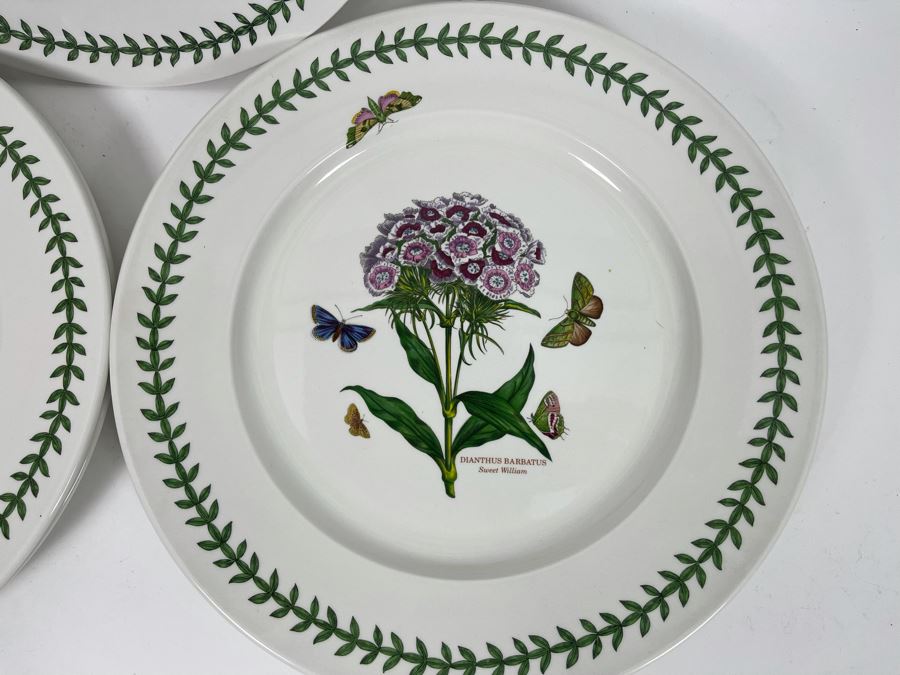 JUST ADDED - Set Of Six Portmeirion The Botanic Garden Charger Plates Susan Williams-Ellis 13.25R [Photo 4]