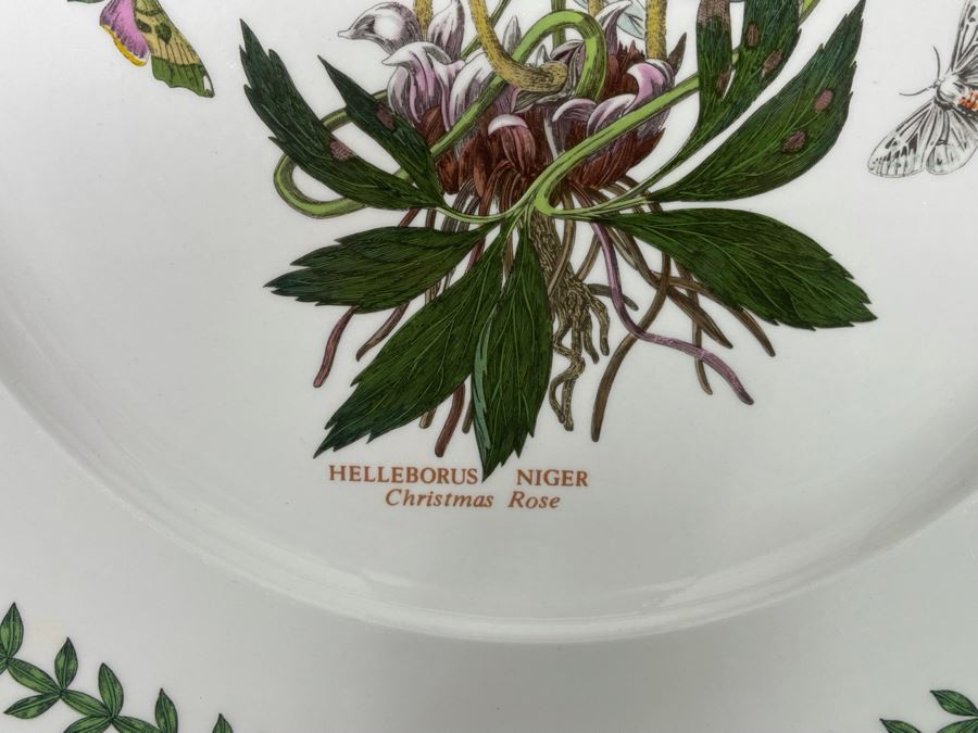 JUST ADDED - Set Of Six Portmeirion The Botanic Garden Charger Plates Susan Williams-Ellis 13.25R [Photo 7]