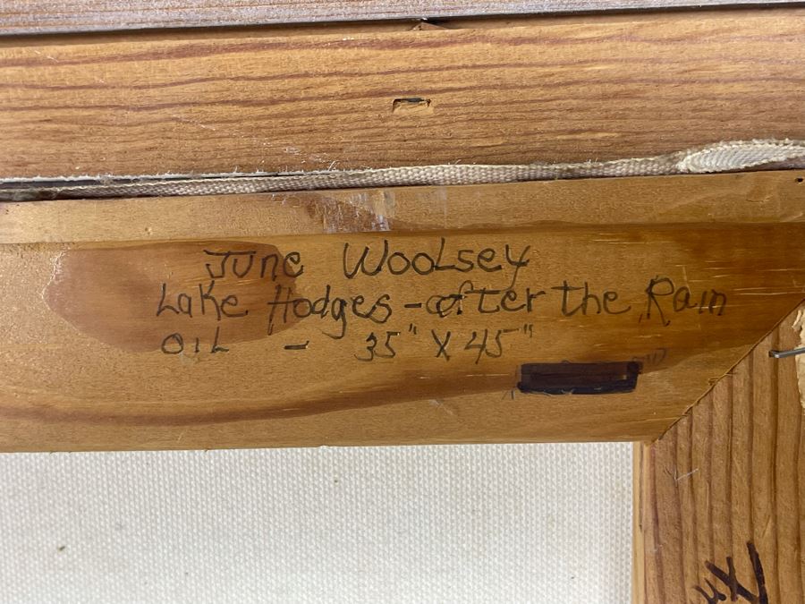 Original June Woolsey San Diego Plein Air Painting On Canvas Titled “Lake Hodges - After The Rain” 35 X 45 [Photo 11]