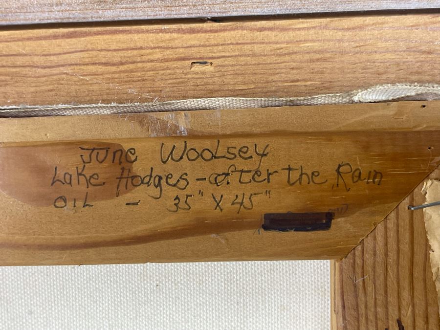 Original June Woolsey San Diego Plein Air Painting On Canvas Titled “Lake Hodges - After The Rain” 35 X 45 [Photo 12]