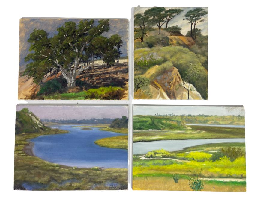 Set Of Four Local North County San Diego Plein Air Paintings Various Sizes 9 X 12 [Photo 1]