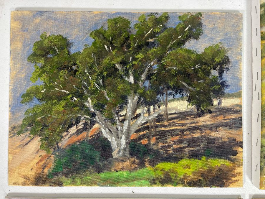 Set Of Four Local North County San Diego Plein Air Paintings Various Sizes 9 X 12 [Photo 4]
